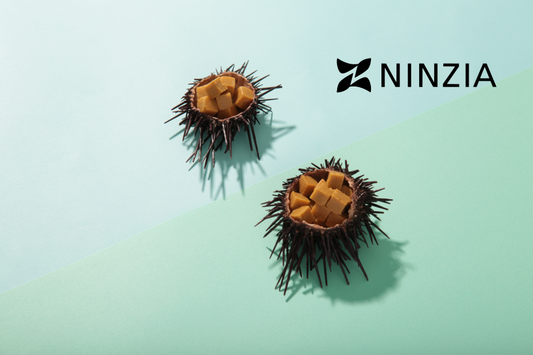 NINZIA Vegan Sushi Topping Set