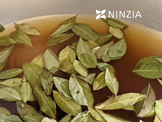 NINZIA Konjac-Based Japanese Umami Seasoning