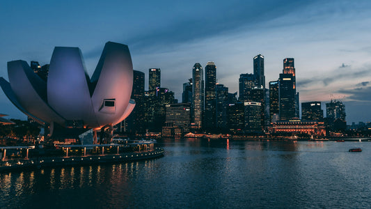 Expanding into Singapore: Selected for AMEICC's ASEAN Market Entry Support Program