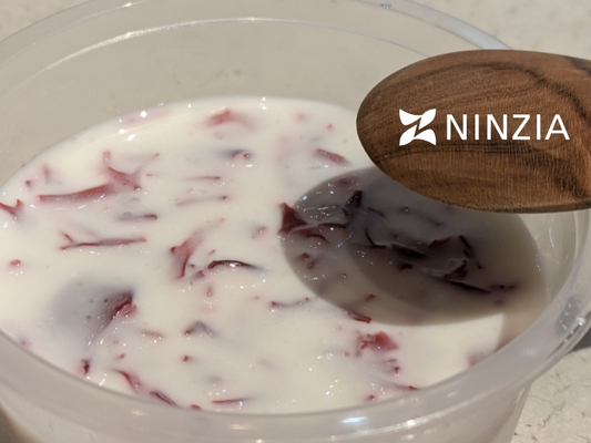 NINZIA Milk Pudding