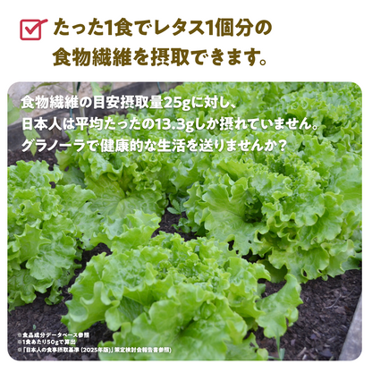 【6袋】朝の美活グラノーラプレーン味