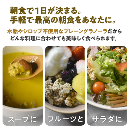 【6袋】朝の美活グラノーラプレーン味