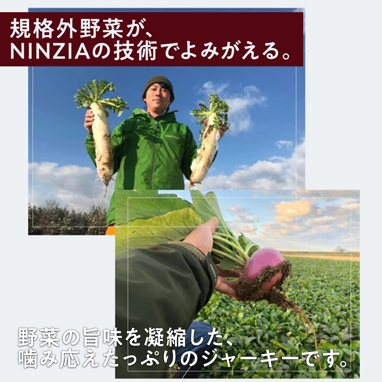 お試し用：サステナブル・ベジジャーキー食べ比べセット【あつみかぶ2袋+大根2袋】