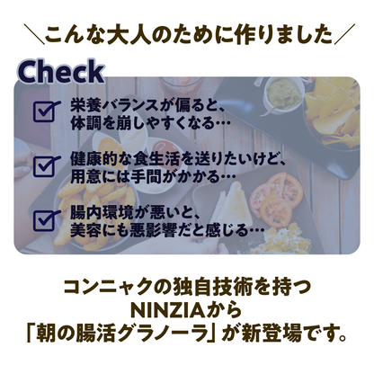 【6袋】朝の美活グラノーラプレーン味