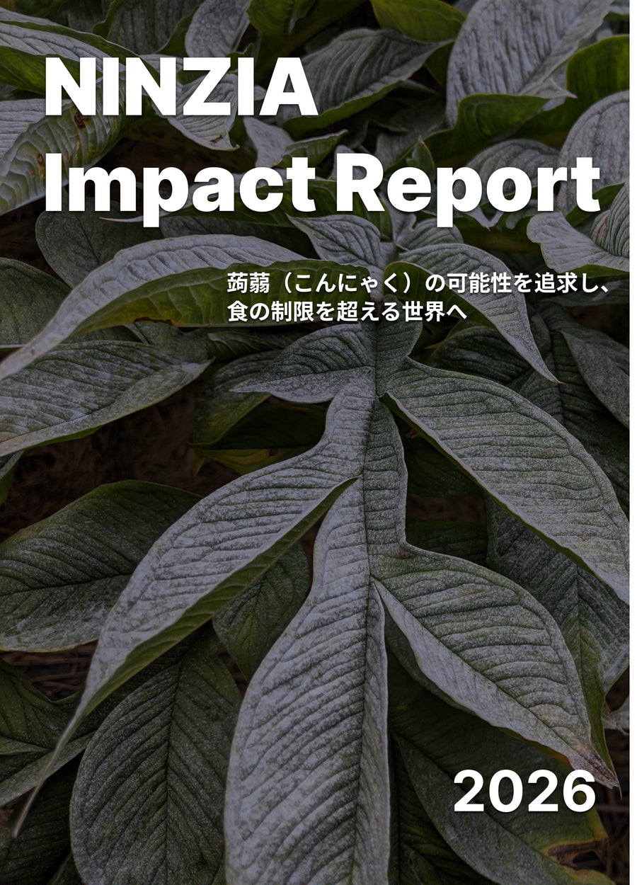 NINZIA Impact Report 2026 Japanese edition cover