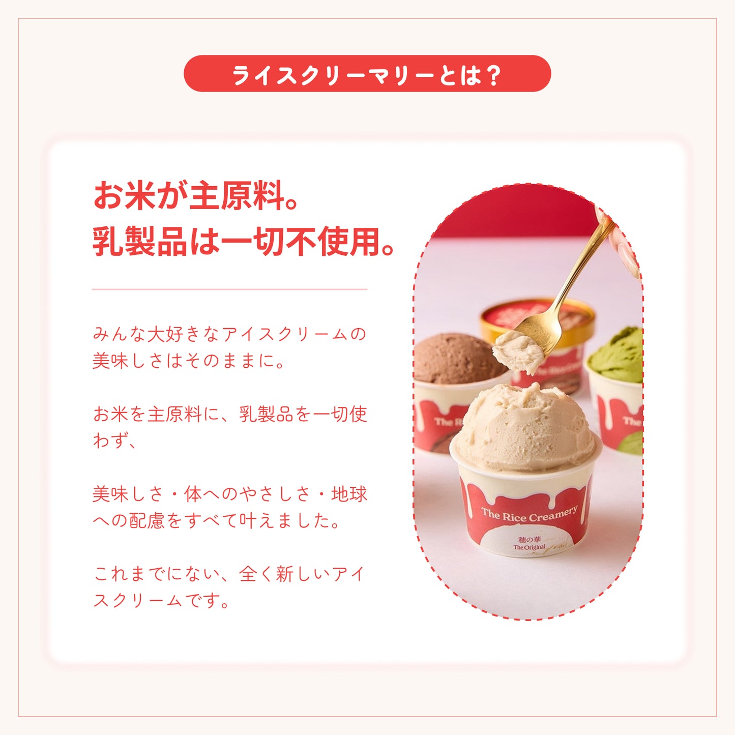【6月下旬発送・予約商品】ギフト包装込み：The Rice Creamery×NINZIA 「モチリッチ ココアワッフルアイスセット」