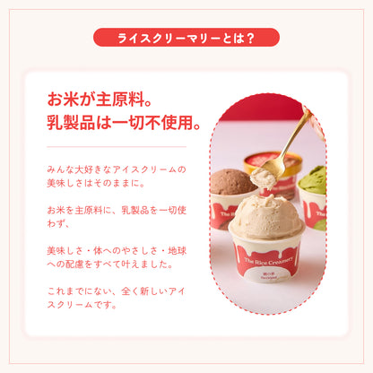 【6月下旬発送・予約商品】ギフト包装込み：The Rice Creamery×NINZIA 「モチリッチ ココアワッフルアイスセット」